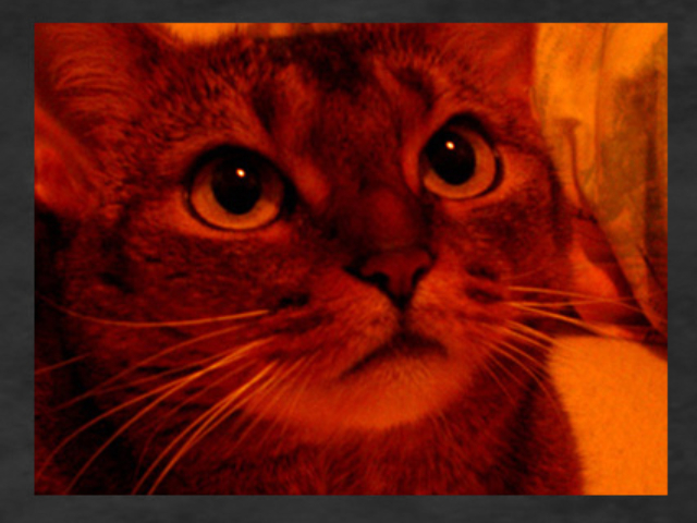 Private miscellaneous