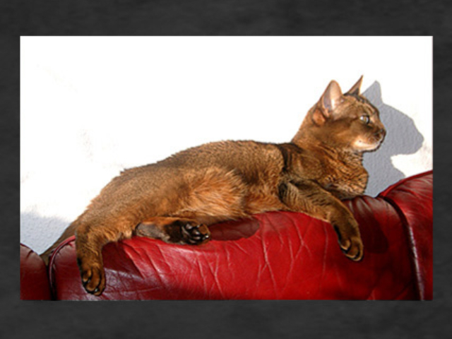 Private miscellaneous