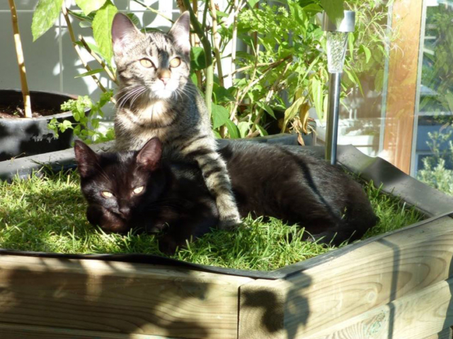 Private miscellaneous